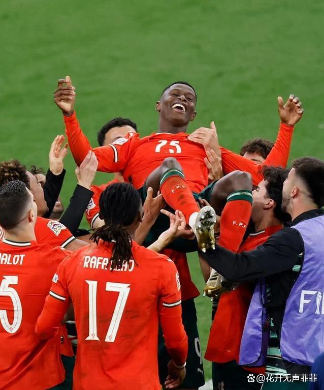 葡萄牙队遭遇困境，面临淘汰危机，气势如虹的简单介绍